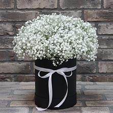 Цветочная композиция из Гипсофила в шляпной коробке в Кавалерово